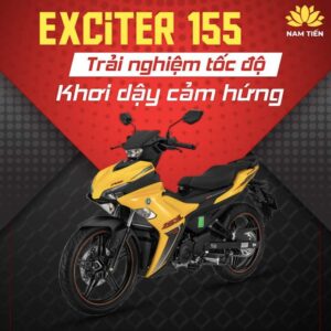 yeu-to-anh-huong-gia-exciter-155