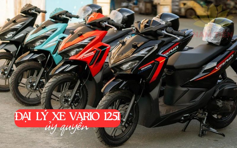 Đại lý xe Vario 125 ủy quyền chính hãng