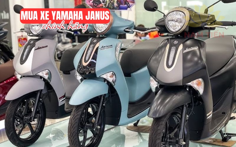 Mua xe Yamaha Janus chính hãng gần đây